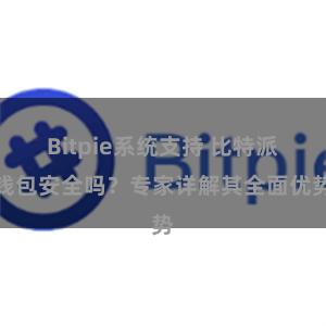 Bitpie系统支持 比特派钱包安全吗？专家详解其全面优势