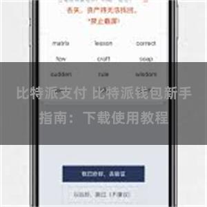 比特派支付 比特派钱包新手指南：下载使用教程