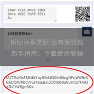 Bitpie苹果版 比特派钱包新手指南：下载使用教程