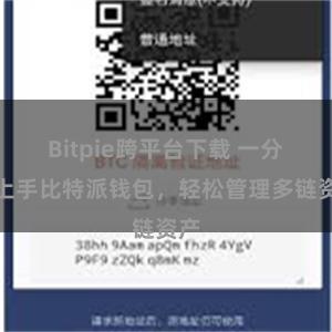 Bitpie跨平台下载 一分钟上手比特派钱包，轻松管理多链资产