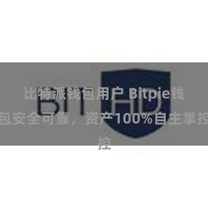 比特派钱包用户 Bitpie钱包安全可靠，资产100%自主掌控