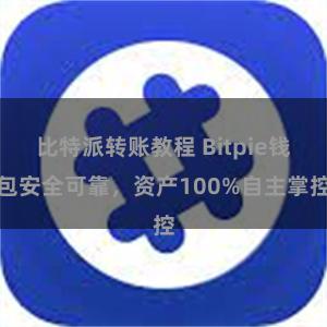 比特派转账教程 Bitpie钱包安全可靠，资产100%自主掌控