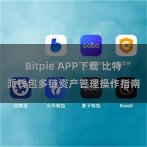 Bitpie APP下载 比特派钱包多链资产管理操作指南