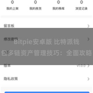 Bitpie安卓版 比特派钱包多链资产管理技巧：全面攻略