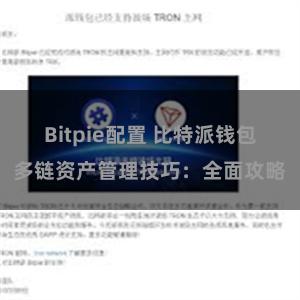 Bitpie配置 比特派钱包多链资产管理技巧：全面攻略