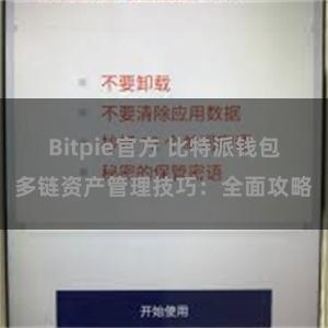 Bitpie官方 比特派钱包多链资产管理技巧：全面攻略