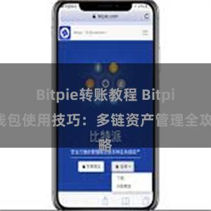 Bitpie转账教程 Bitpie钱包使用技巧：多链资产管理全攻略