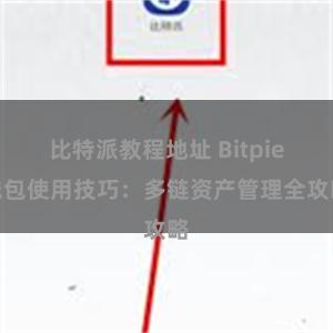 比特派教程地址 Bitpie钱包使用技巧：多链资产管理全攻略