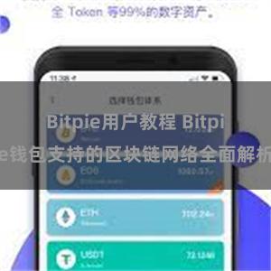 Bitpie用户教程 Bitpie钱包支持的区块链网络全面解析