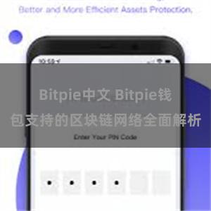 Bitpie中文 Bitpie钱包支持的区块链网络全面解析