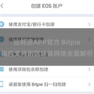 比特派APP官方 Bitpie钱包支持的区块链网络全面解析