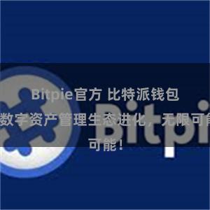 Bitpie官方 比特派钱包：数字资产管理生态进化，无限可能！