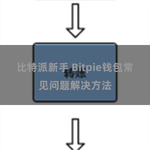 比特派新手 Bitpie钱包常见问题解决方法