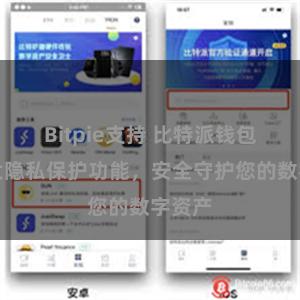 Bitpie支持 比特派钱包：强大隐私保护功能，安全守护您的数字资产