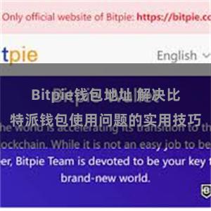 Bitpie钱包地址 解决比特派钱包使用问题的实用技巧