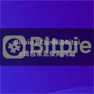 Bitpie PC版 解决Bitpie钱包常见使用问题