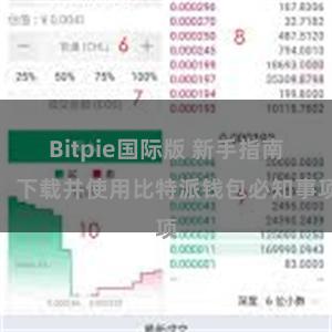 Bitpie国际版 新手指南：下载并使用比特派钱包必知事项