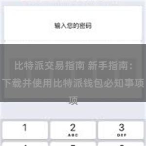 比特派交易指南 新手指南：下载并使用比特派钱包必知事项