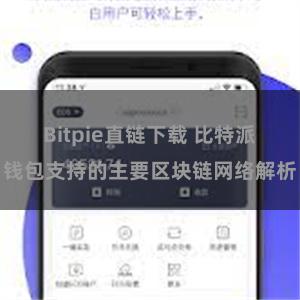 Bitpie直链下载 比特派钱包支持的主要区块链网络解析