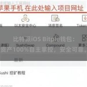 比特派iOS Bitpie钱包：资产100%自主掌控，安全可靠。