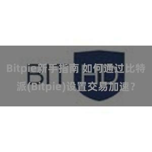 Bitpie新手指南 如何通过比特派(Bitpie)设置交易加速？