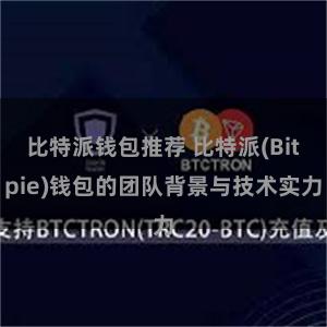 比特派钱包推荐 比特派(Bitpie)钱包的团队背景与技术实力