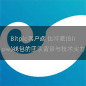 Bitpie客户端 比特派(Bitpie)钱包的团队背景与技术实力