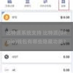 比特派系统支持 比特派(Bitpie)钱包有哪些隐藏功能？