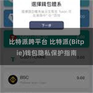 比特派跨平台 比特派(Bitpie)钱包隐私保护指南