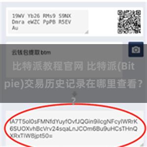 比特派教程官网 比特派(Bitpie)交易历史记录在哪里查看？