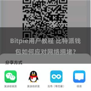 Bitpie用户教程 比特派钱包如何应对网络拥堵？