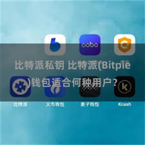 比特派私钥 比特派(Bitpie)钱包适合何种用户？