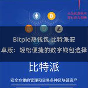Bitpie热钱包 比特派安卓版：轻松便捷的数字钱包选择