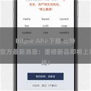 Bitpie APP下载 比特派官方最新消息：重磅新品即将上线！