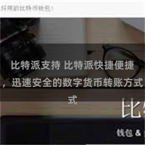 比特派支持 比特派快捷便捷，迅速安全的数字货币转账方式