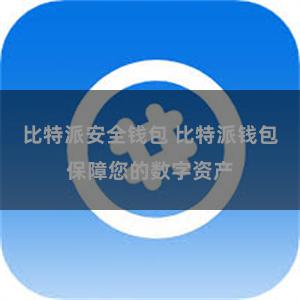 比特派安全钱包 比特派钱包保障您的数字资产