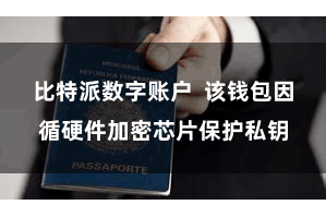 比特派数字账户  该钱包因循硬件加密芯片保护私钥