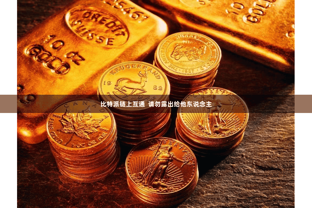 比特派链上互通  请勿露出给他东说念主