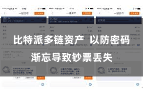 比特派多链资产 以防密码渐忘导致钞票丢失