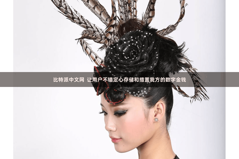 比特派中文网  让用户不错定心存储和措置我方的数字金钱